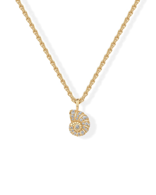 PAVOI 14K Gold Plated CZ Conch Seashell Pendant Necklace for Women | Dainty Beachy Summer Jewelry | 2mm Knit Rope Chain with Extender